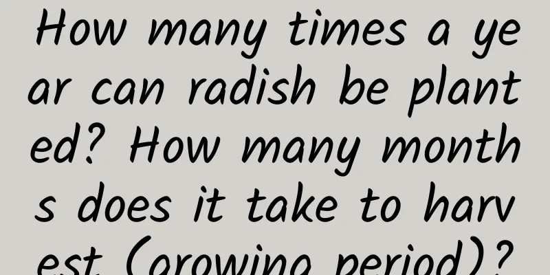 How many times a year can radish be planted? How many months does it take to harvest (growing period)?