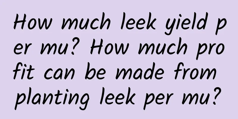 How much leek yield per mu? How much profit can be made from planting leek per mu?