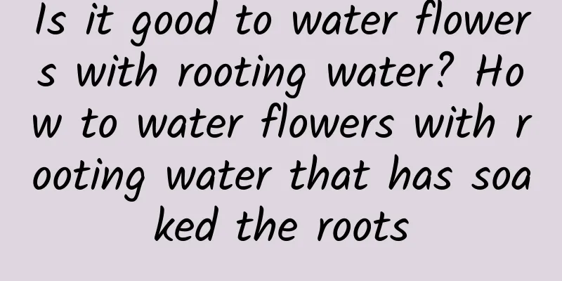Is it good to water flowers with rooting water? How to water flowers with rooting water that has soaked the roots