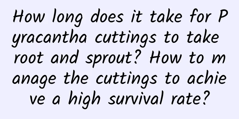 How long does it take for Pyracantha cuttings to take root and sprout? How to manage the cuttings to achieve a high survival rate?