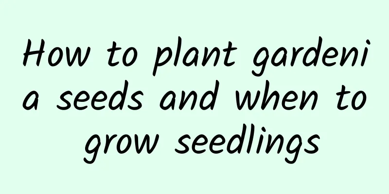 How to plant gardenia seeds and when to grow seedlings