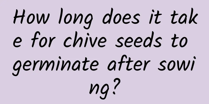 How long does it take for chive seeds to germinate after sowing?