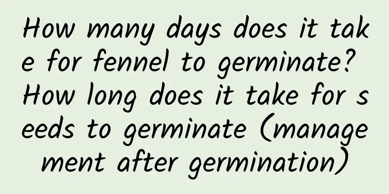 How many days does it take for fennel to germinate? How long does it take for seeds to germinate (management after germination)