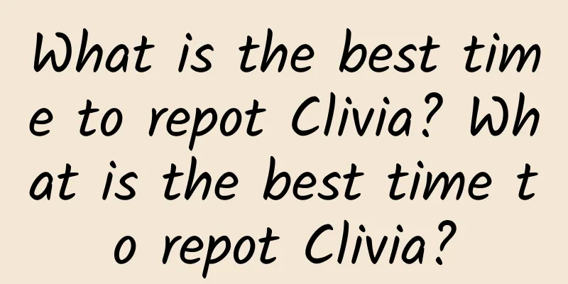 What is the best time to repot Clivia? What is the best time to repot Clivia?