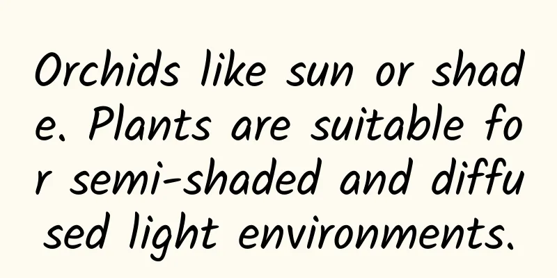 Orchids like sun or shade. Plants are suitable for semi-shaded and diffused light environments.