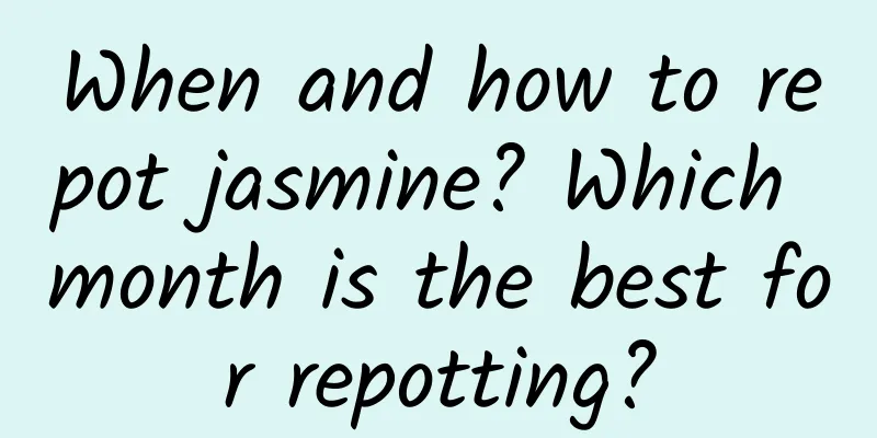 When and how to repot jasmine? Which month is the best for repotting?