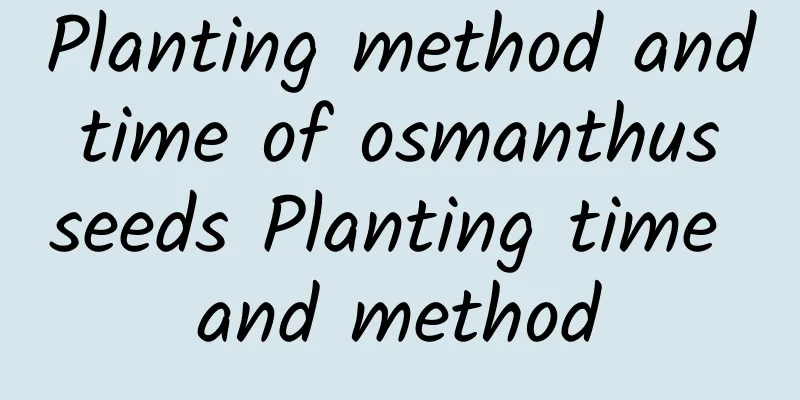 Planting method and time of osmanthus seeds Planting time and method