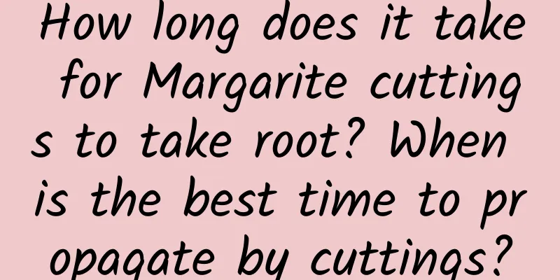 How long does it take for Margarite cuttings to take root? When is the best time to propagate by cuttings?
