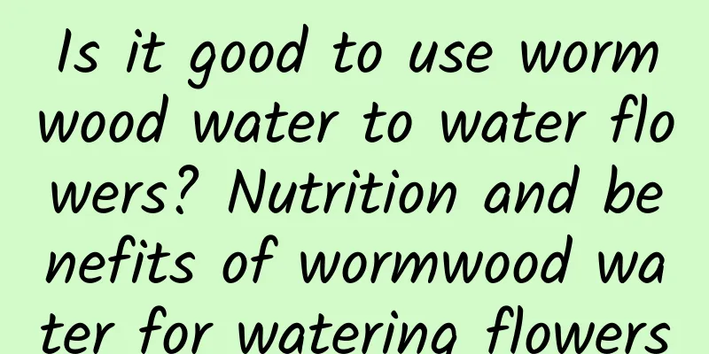 Is it good to use wormwood water to water flowers? Nutrition and benefits of wormwood water for watering flowers