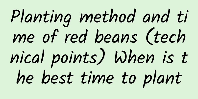 Planting method and time of red beans (technical points) When is the best time to plant