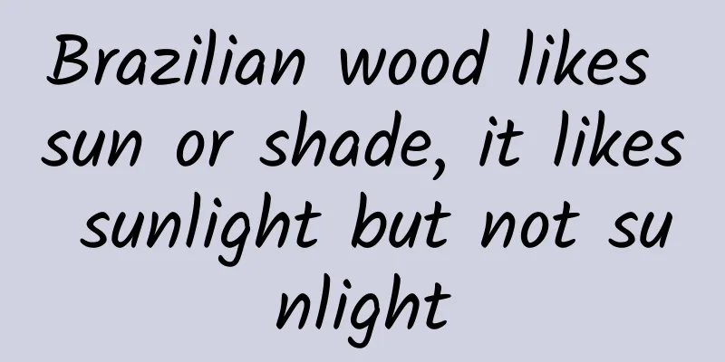 Brazilian wood likes sun or shade, it likes sunlight but not sunlight