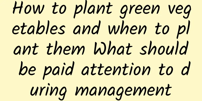 How to plant green vegetables and when to plant them What should be paid attention to during management