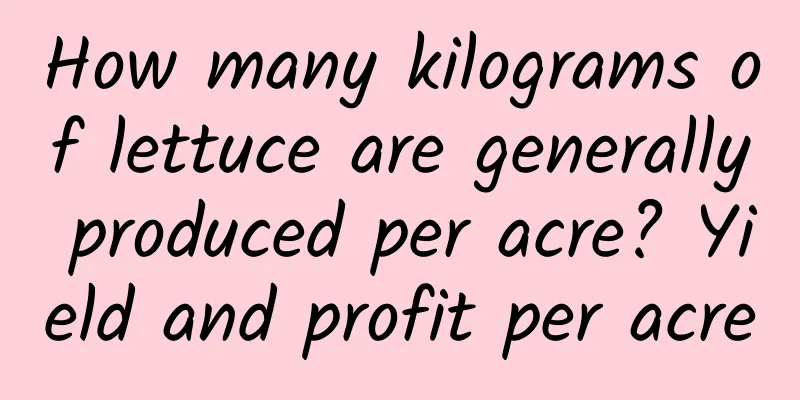 How many kilograms of lettuce are generally produced per acre? Yield and profit per acre