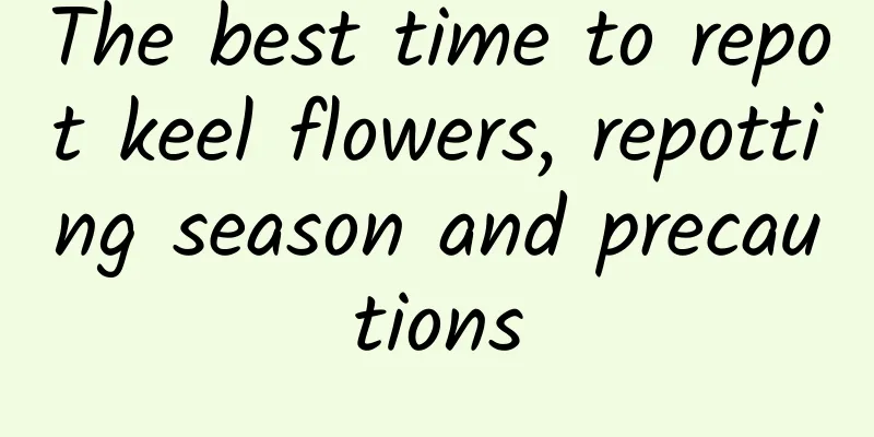 The best time to repot keel flowers, repotting season and precautions