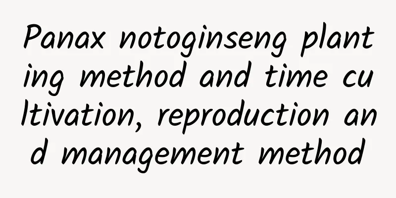 Panax notoginseng planting method and time cultivation, reproduction and management method