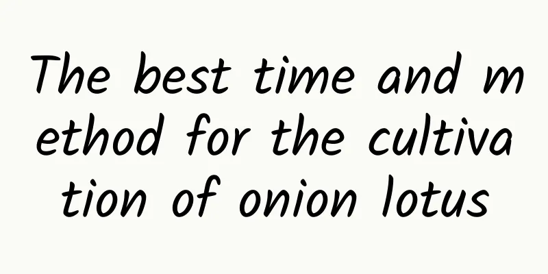 The best time and method for the cultivation of onion lotus