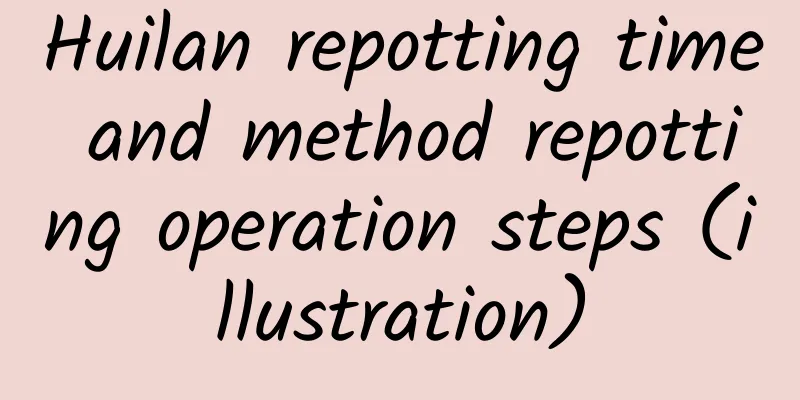 Huilan repotting time and method repotting operation steps (illustration)