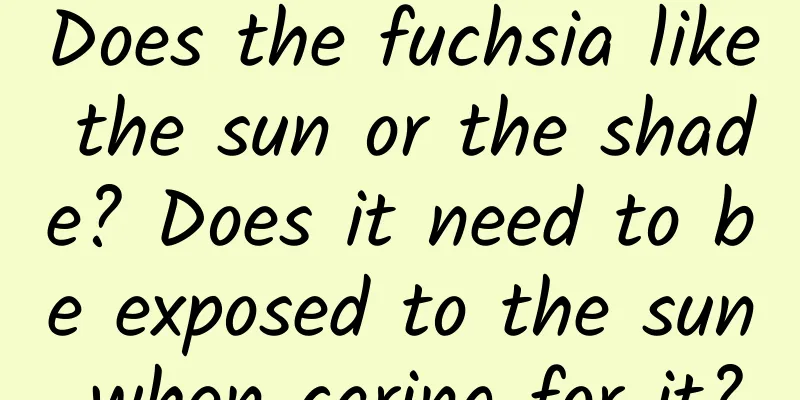 Does the fuchsia like the sun or the shade? Does it need to be exposed to the sun when caring for it?