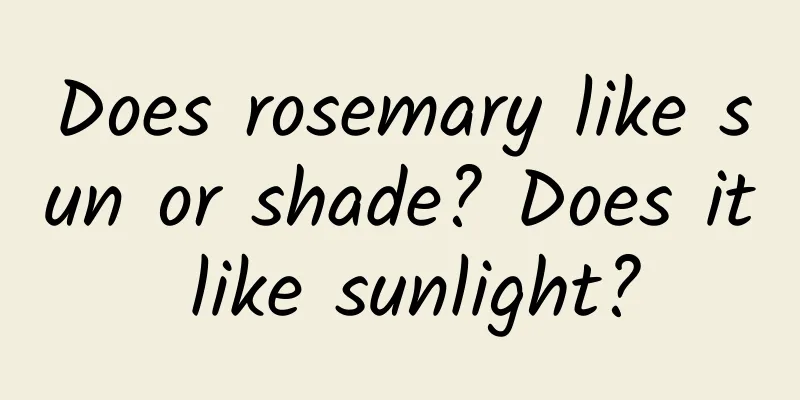 Does rosemary like sun or shade? Does it like sunlight?