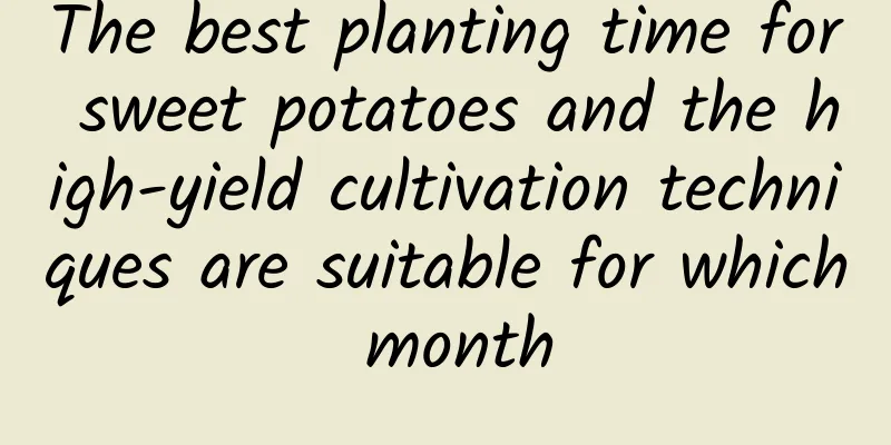 The best planting time for sweet potatoes and the high-yield cultivation techniques are suitable for which month