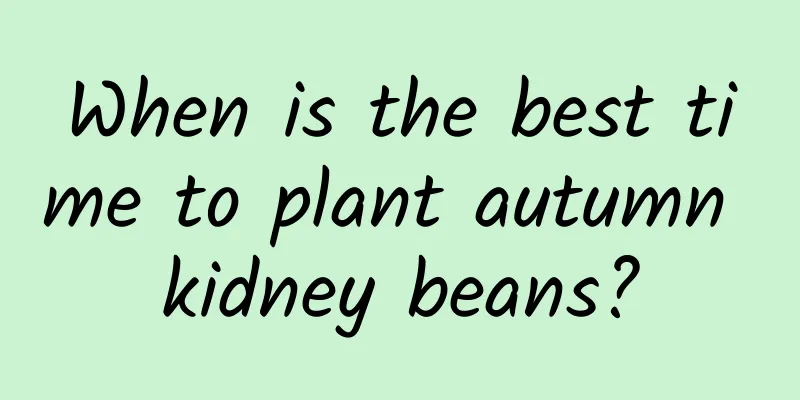 When is the best time to plant autumn kidney beans?