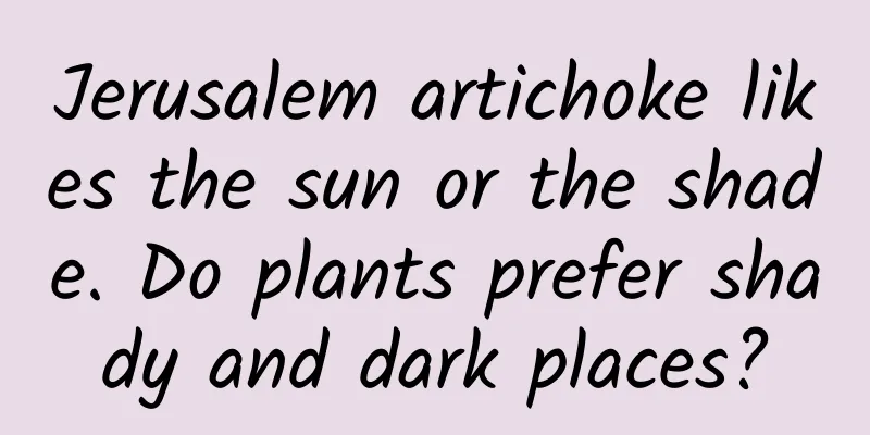 Jerusalem artichoke likes the sun or the shade. Do plants prefer shady and dark places?