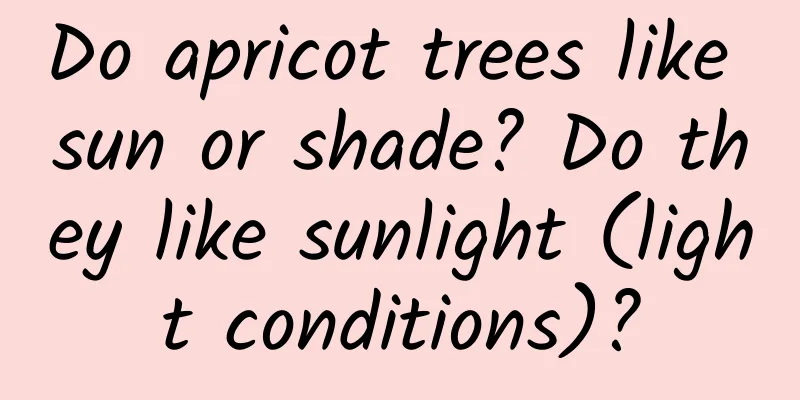 Do apricot trees like sun or shade? Do they like sunlight (light conditions)?