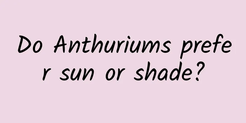 Do Anthuriums prefer sun or shade?