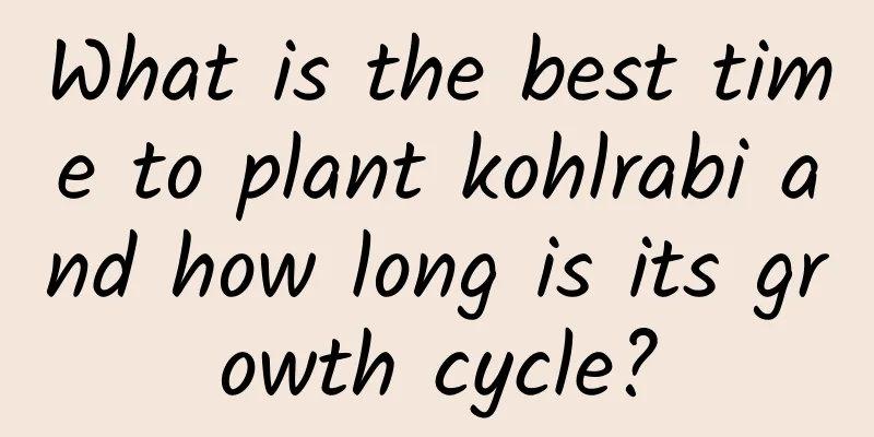 What is the best time to plant kohlrabi and how long is its growth cycle?