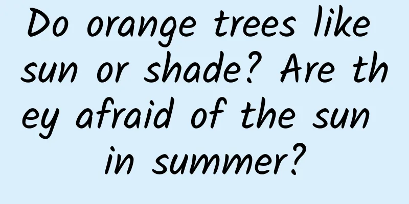Do orange trees like sun or shade? Are they afraid of the sun in summer?