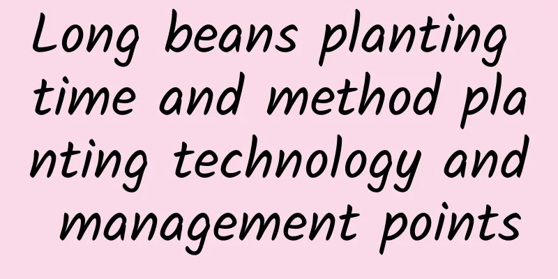 Long beans planting time and method planting technology and management points