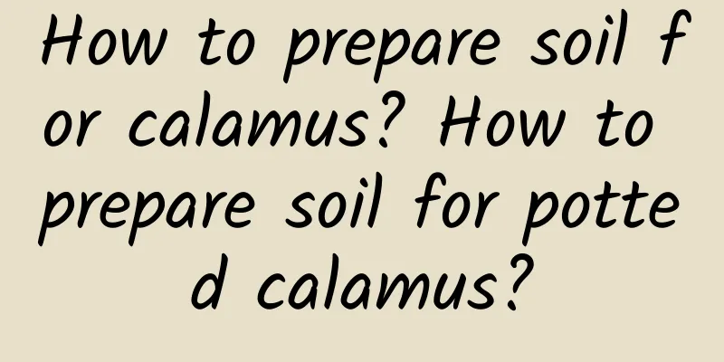 How to prepare soil for calamus? How to prepare soil for potted calamus?