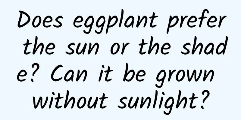 Does eggplant prefer the sun or the shade? Can it be grown without sunlight?