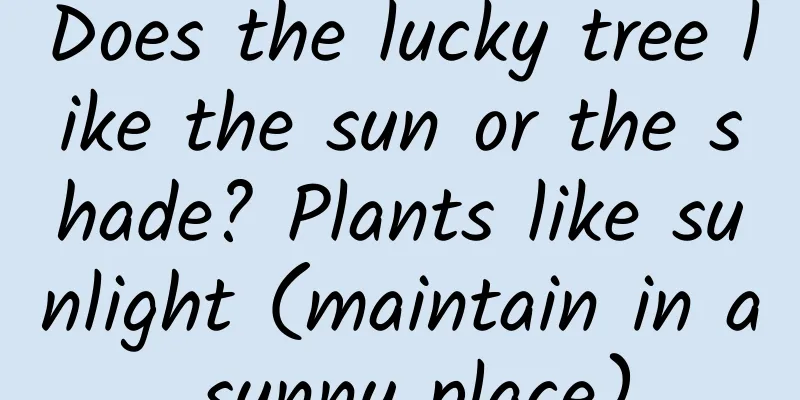 Does the lucky tree like the sun or the shade? Plants like sunlight (maintain in a sunny place)