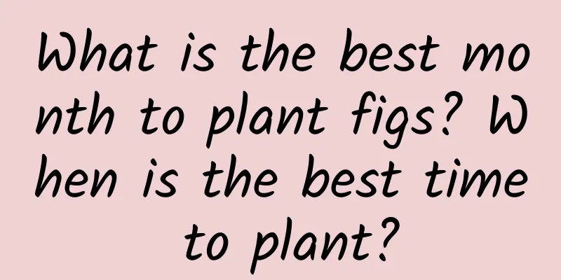 What is the best month to plant figs? When is the best time to plant?