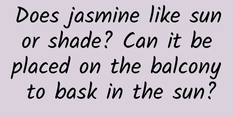 Does jasmine like sun or shade? Can it be placed on the balcony to bask in the sun?