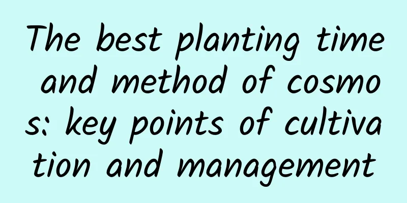 The best planting time and method of cosmos: key points of cultivation and management