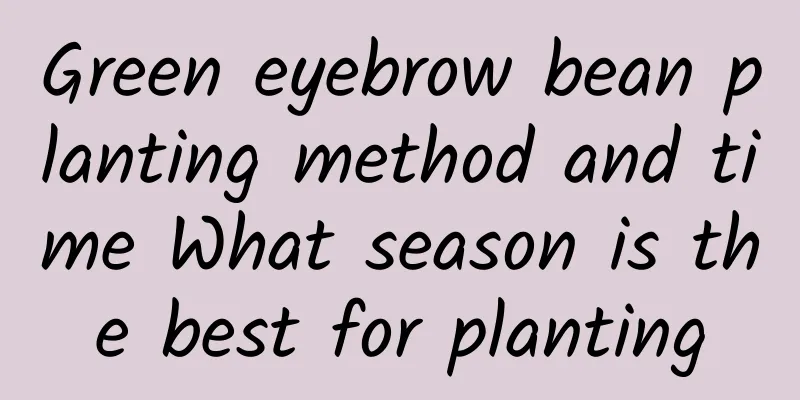 Green eyebrow bean planting method and time What season is the best for planting