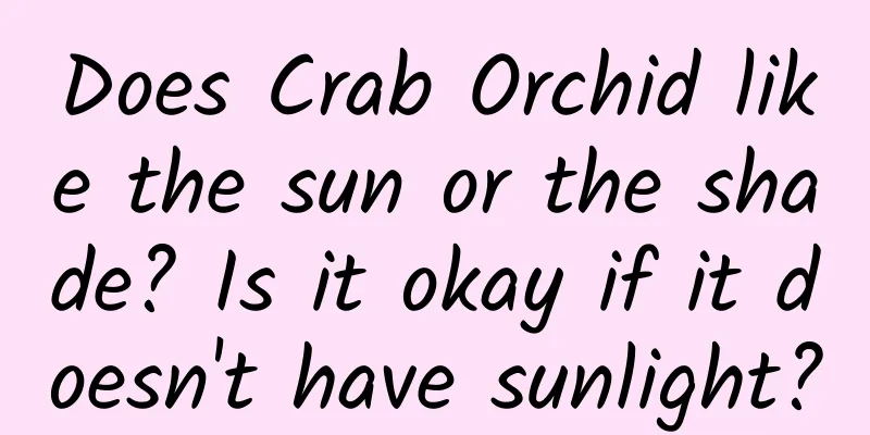Does Crab Orchid like the sun or the shade? Is it okay if it doesn't have sunlight?