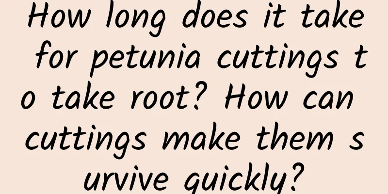 How long does it take for petunia cuttings to take root? How can cuttings make them survive quickly?