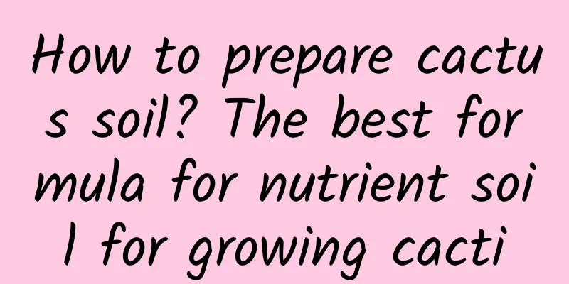 How to prepare cactus soil? The best formula for nutrient soil for growing cacti
