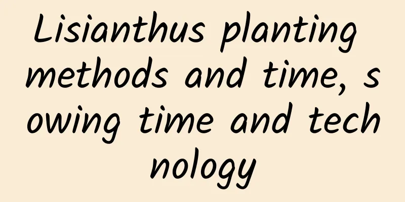 Lisianthus planting methods and time, sowing time and technology