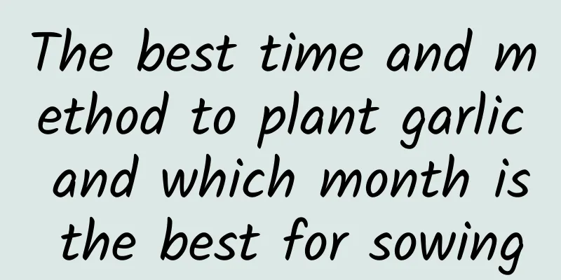The best time and method to plant garlic and which month is the best for sowing
