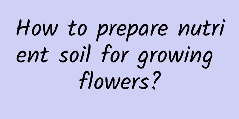 How to prepare nutrient soil for growing flowers?