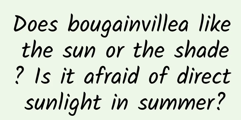 Does bougainvillea like the sun or the shade? Is it afraid of direct sunlight in summer?