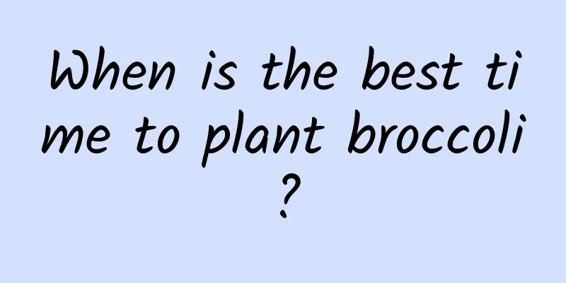 When is the best time to plant broccoli?