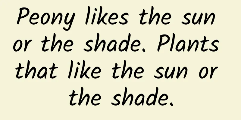 Peony likes the sun or the shade. Plants that like the sun or the shade.
