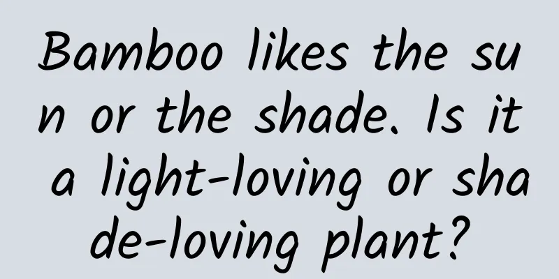 Bamboo likes the sun or the shade. Is it a light-loving or shade-loving plant?