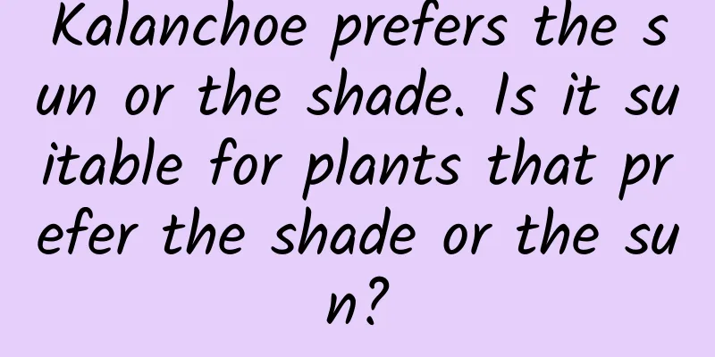 Kalanchoe prefers the sun or the shade. Is it suitable for plants that prefer the shade or the sun?