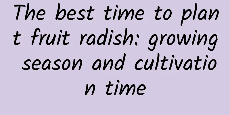 The best time to plant fruit radish: growing season and cultivation time